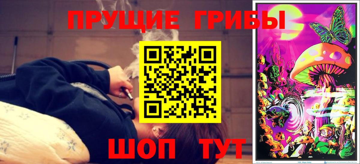 Галлюциногенные грибы Cubensis Азов